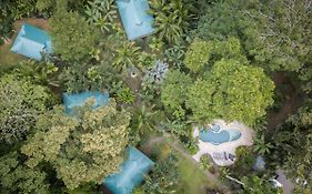 El Nido Jungle Lodge